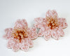 Aretes Hana